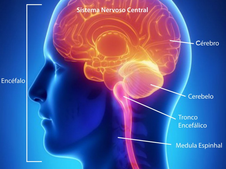 Opções de Tratamento